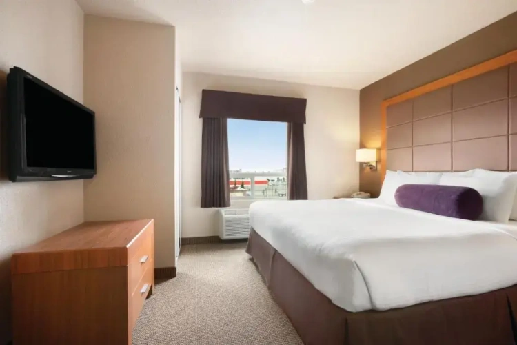 1 Bedroom Suite