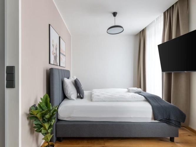 Single Suite