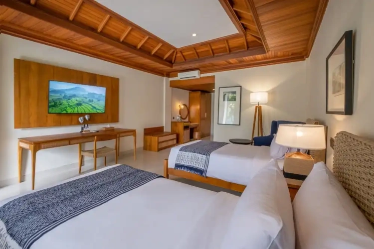 Deluxe Twin room with garden view