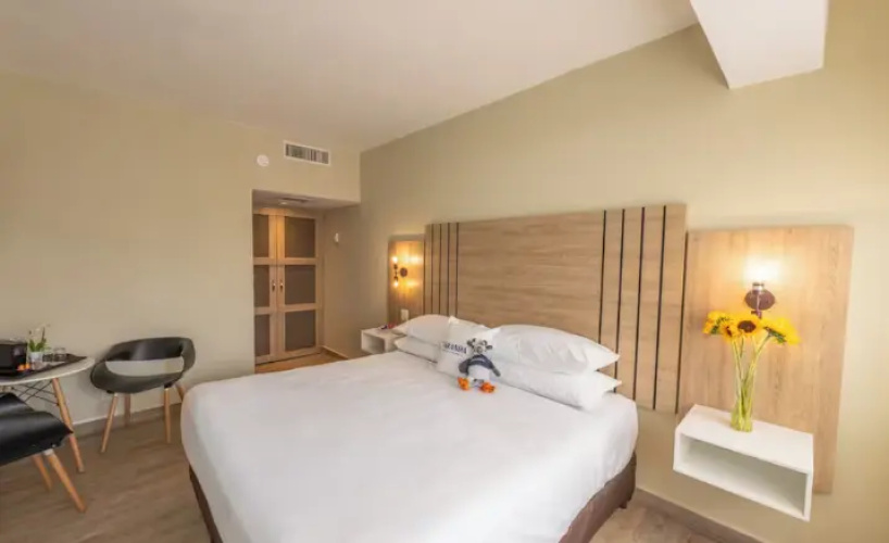 1 Bedroom Double Suite with city view