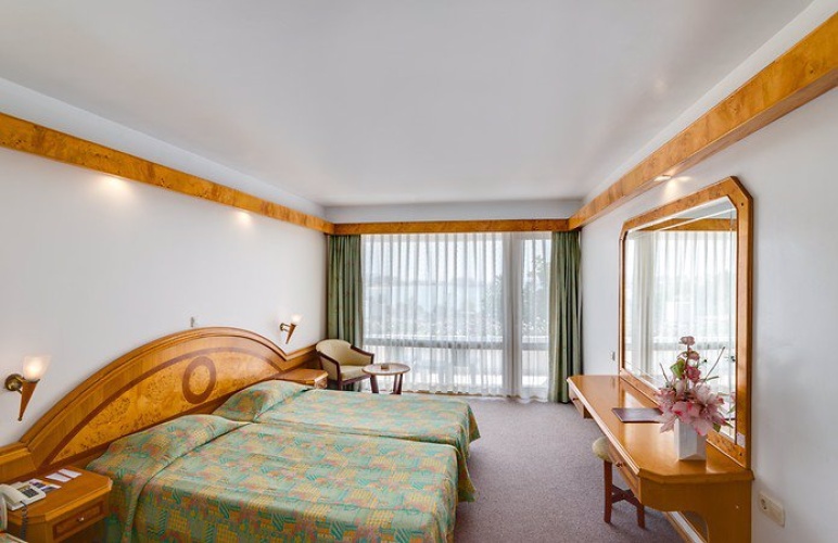 Standard Double room with land view