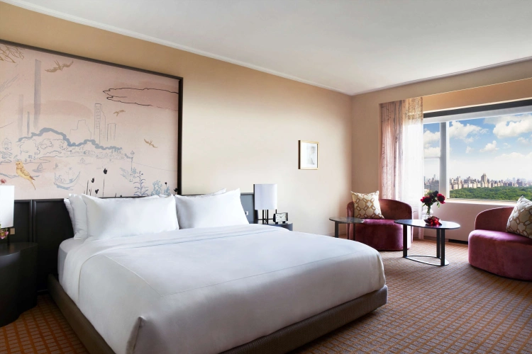 1 Bedroom Double Suite with city view