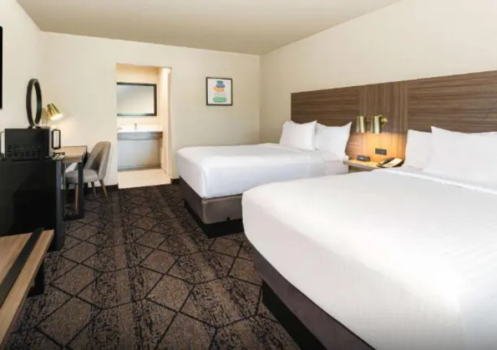 Double Suite