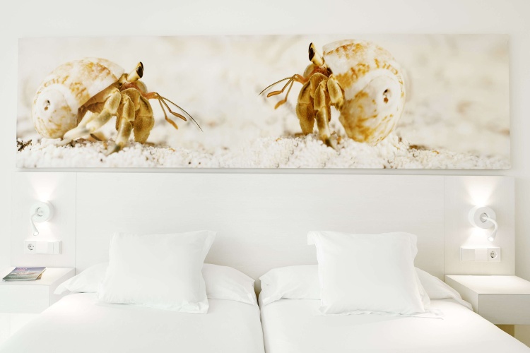 Twin room