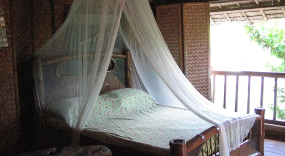 Sunset Cove Beach & Dive Resort
