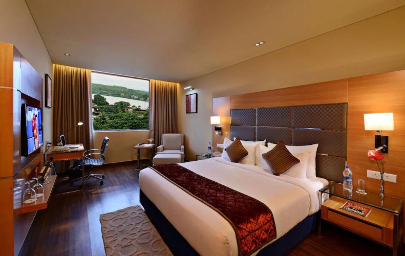 Superior Double room with balcony and with garden view