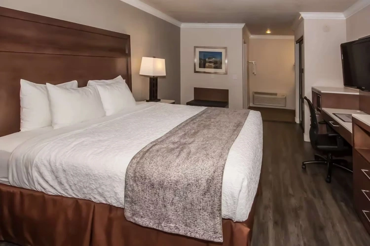 Mobility Accessible with Roll In Shower Double room