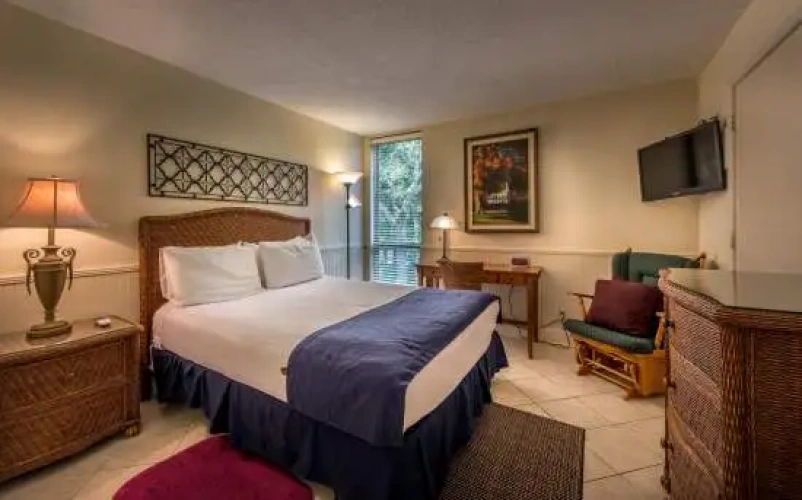 Mini Double Suite