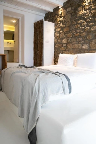 Premium with Outdoor Mini Plunge Pool Double Suite with sea view