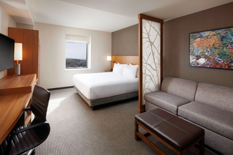 Accessible Double room (plus sofa bed)