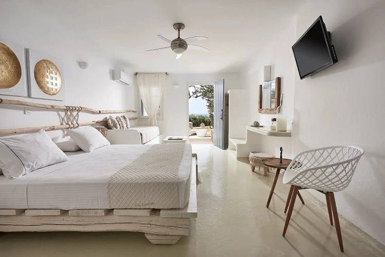 Deluxe Double room with garden view