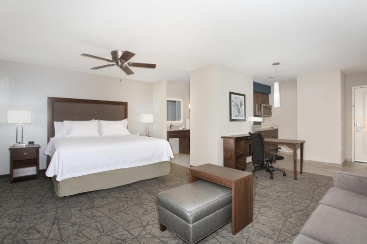 1 Bedroom Double Studio Suite