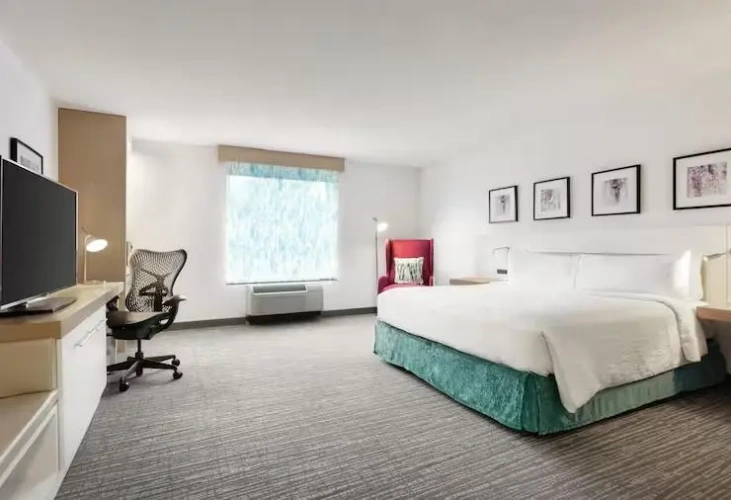 Standard Double Mobility Accessible room