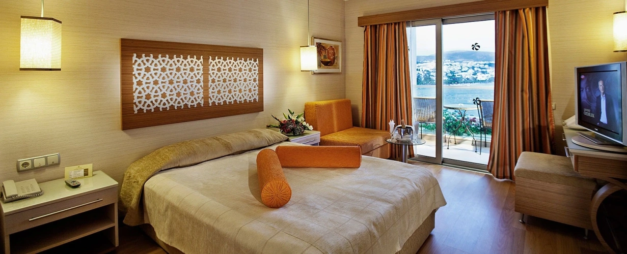 Standard Double room with balcony and with sea view