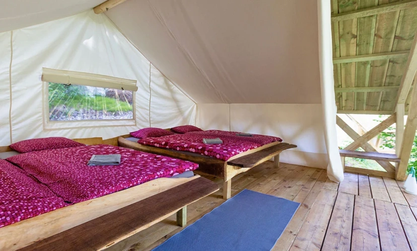 Family Tent
