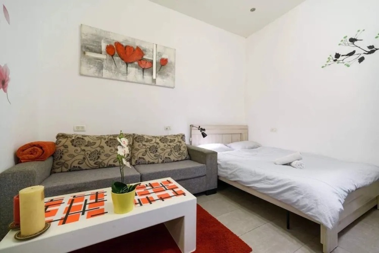 Classic Double Apartment