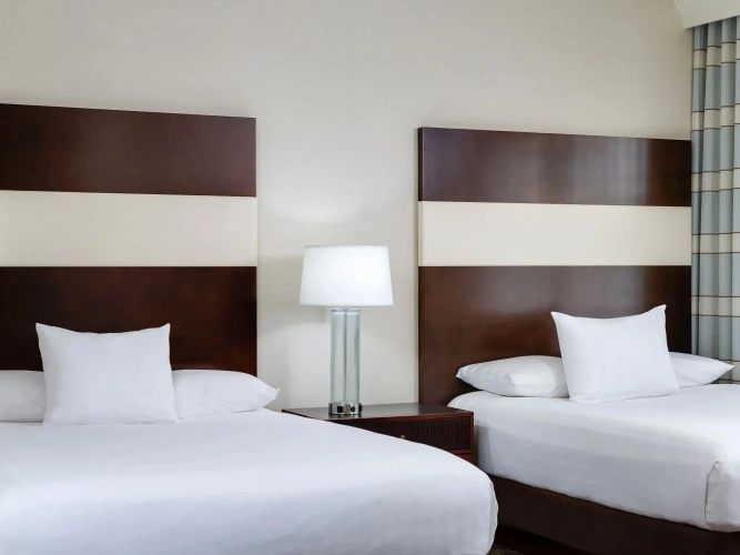 Twin Suite