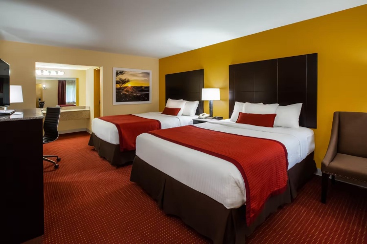Twin Ground Floor room