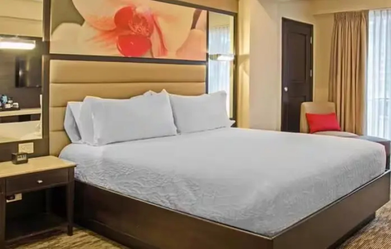 Double Junior Suite