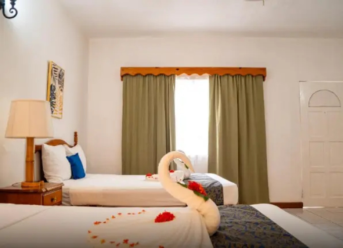 Superior Twin room with garden view
