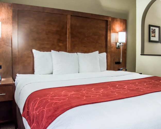 1 Bedroom Accessible Double Suite