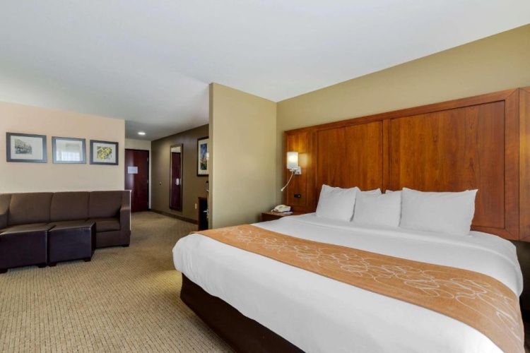1 Bedroom Suite