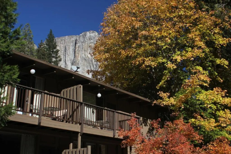 Yosemite Valley Lodge photo 21