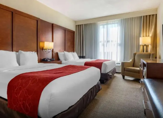 Twin Suite