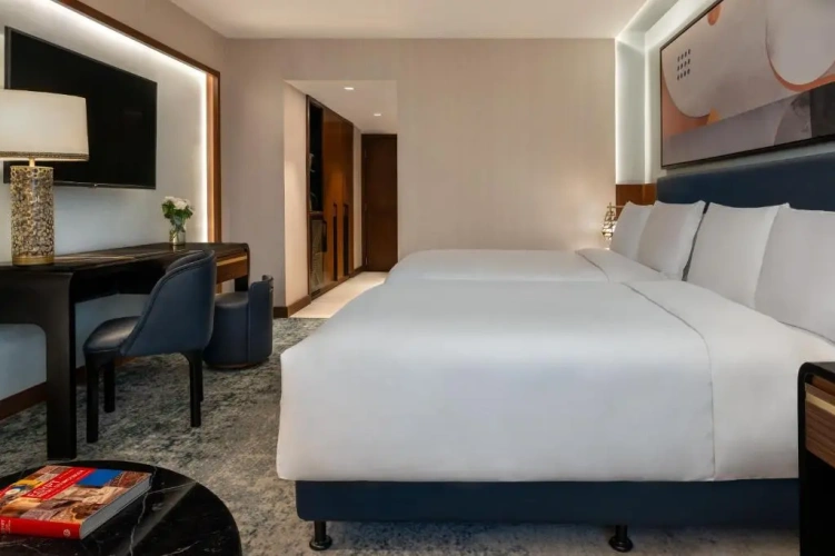 Deluxe Partial Nile View Double room