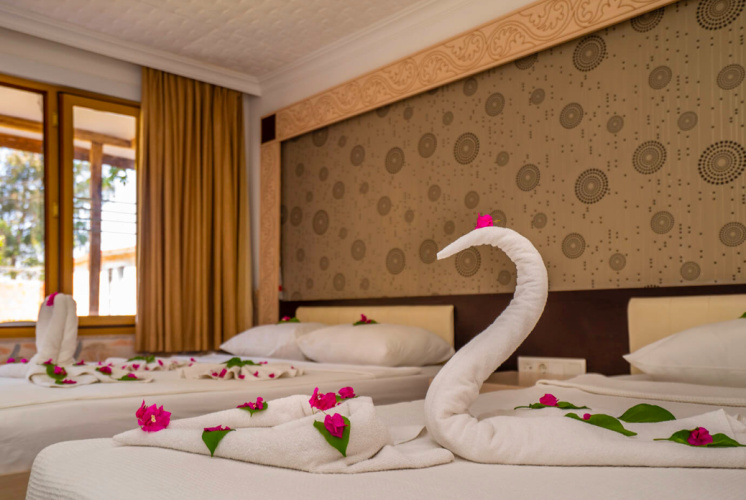 Garden Double Club room