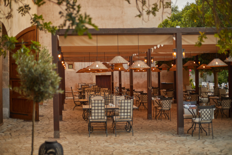 Zoetry Mallorca photo 28