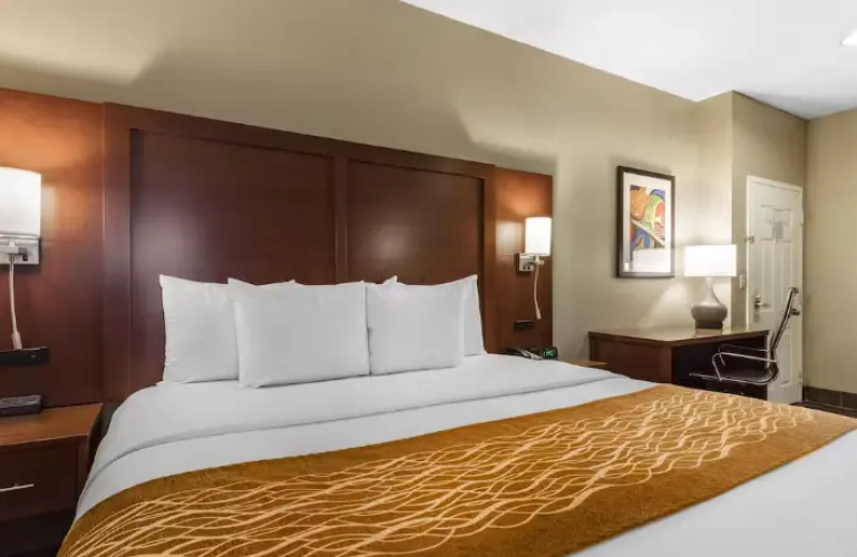 Business Accessible Double room