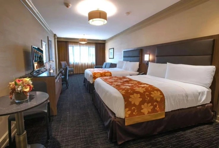 Studio Suite