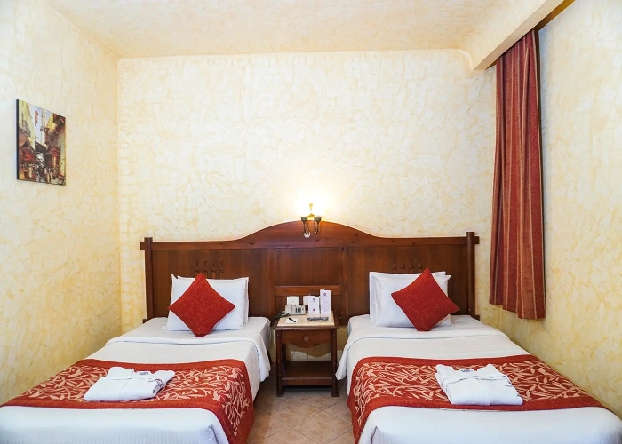 Standard Twin room with garden view