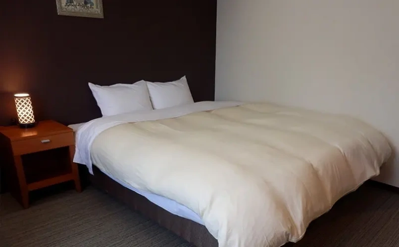 Western Double room