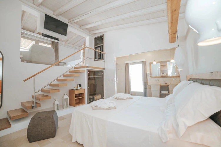 Superior Double Suite