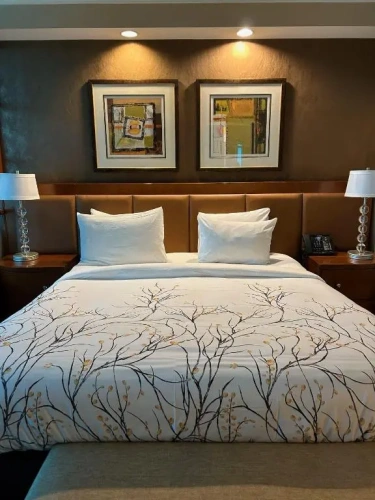 Vista Double Junior Suite