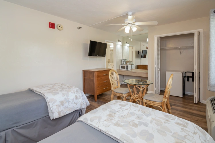 Guest Twin room