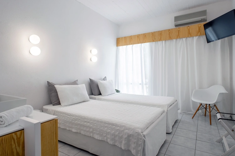 Basic Twin room with non/partial sea view