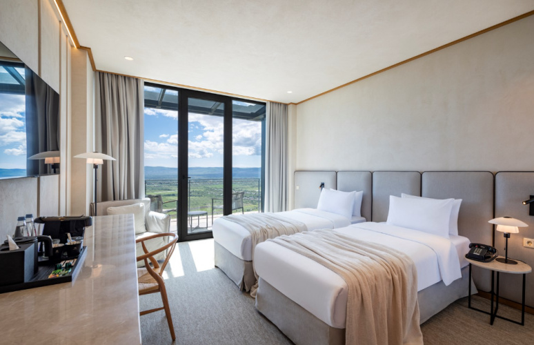 Deluxe Twin room with lake view