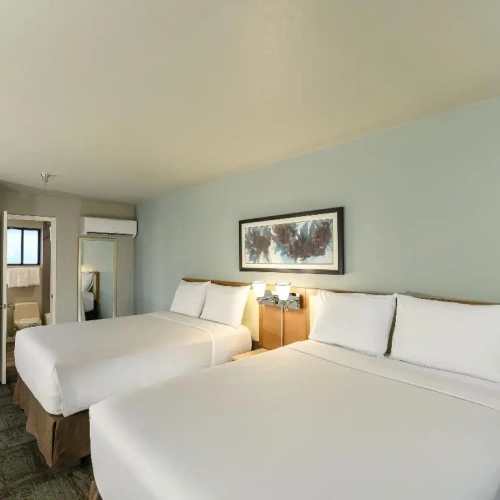 Monarch Deluxe Twin Suite