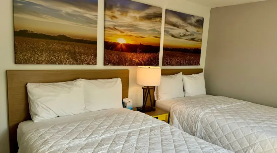Twin Suite