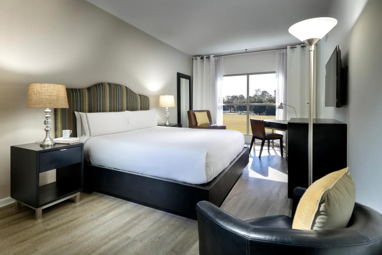 1 Bedroom Suite