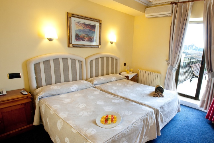 Superior Views to the Vineyards Double room