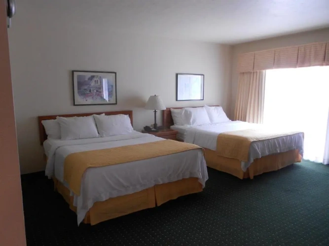 Executive Twin Penthouse Studio Suite