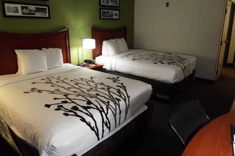 Twin room