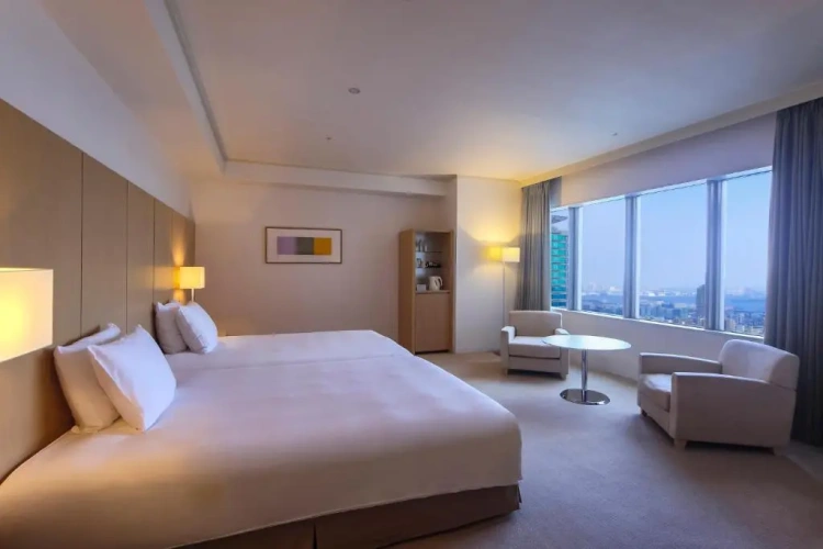 Premium Lounge Access Twin room with city view