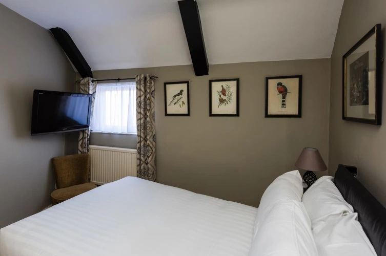Standard Single room