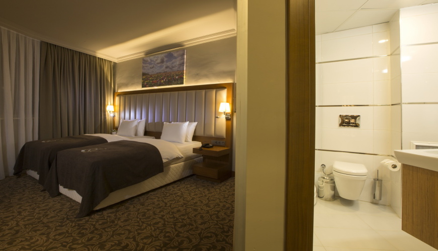 Standard Twin room