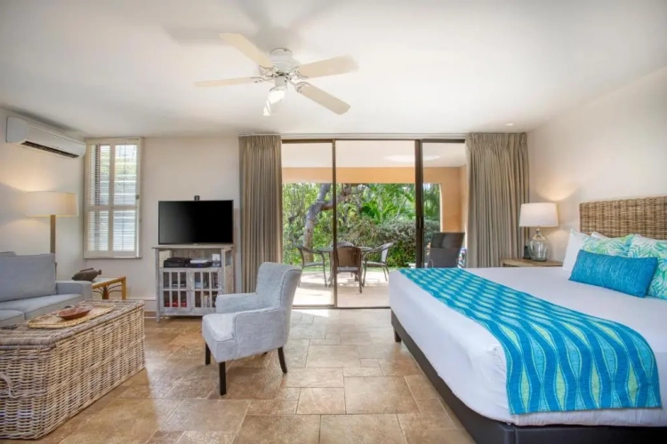 1 Bedroom Platinum Double Apartment with garden view